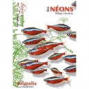 Les Neons - Philippe Chevoleau