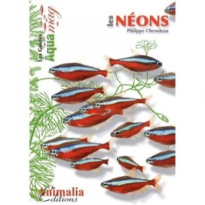 Les Neons - Philippe Chevoleau