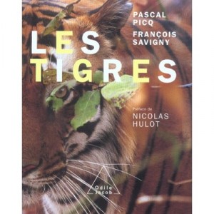 Les Tigres - Pascal Picq , Francois Savigny