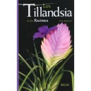 Les Tillandsia Et Les Racinaea - Albert Roguenant