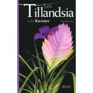 Les Tillandsia Et Les Racinaea - Albert Roguenant