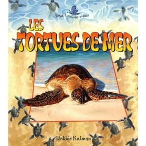 Les Tortues De Mer - Kalman Bobbie