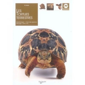 Les Tortues Terrestres - Avanzi