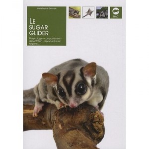 Le Sugar Glider - Marie-sophie Germain
