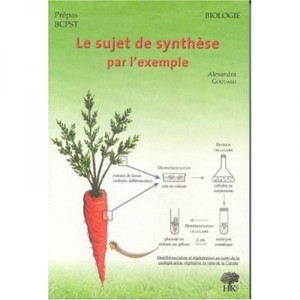 Le Sujet De Synthese Par L'exemple - Goudard
