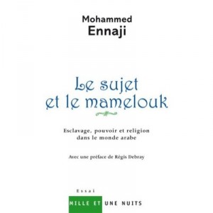 Le Sujet Et Le Mamelouk - M Ennaji
