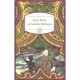 Le Superbe Orenoque - Jules Verne