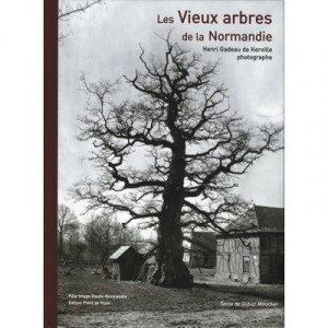 Les Vieux Arbres De La Normandie , Henri Gadeau De Kerville Photographe - Didier Mouchel