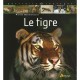 Le Tigre - Pierre Darmangeat