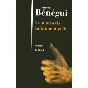 Le Tournevis Infiniment Petit - Laurent Benegui