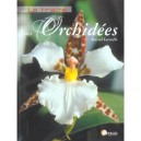Le Traite Des Orchidees - Marcel Lecoufle