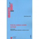 Droit Des Relations Sociales Au Travail , Droit Du Travail : Evolution Des Relations Individuelles Et Collectives Du Salarie - 