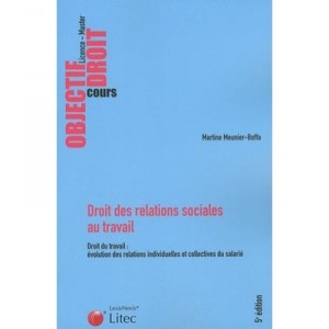 Droit Des Relations Sociales Au Travail , Droit Du Travail : Evolution Des Relations Individuelles Et Collectives Du Salarie - 