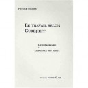 Le Travail Selon Gurdjieff , L'enneagramme , La Science Des Idiots - Patrick Negrier