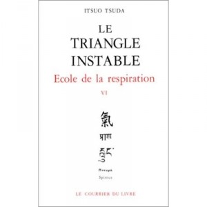 Le Triangle Instable - Itsuo Tsuda