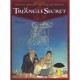 Le Triangle Secret T.5 , L'infame Mensonge - Didier Convard , Andre Juillard , Denis Falque , Christian Gine , Pierre Wachs , P