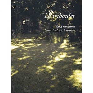 Le Triboulet , Cinq Rencontres Avec Andre S. Labarthe - Andre S Labarthe , Gerald Colas , Anne-lise Broyer , Nicolas Comment