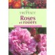 Le Truffaut , Roses Et Rosiers - Patrick Mioulane