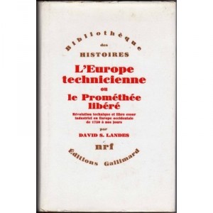 L'europe Technicienne - D Landes