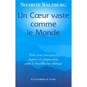 Un Coeur Vaste Comme Le Monde: Vivre Avec Conscience, Sagesse Et Compassion - Sharon Salzberg