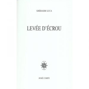 Release from prison - Luca Gherasim