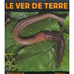 Le Ver De Terre - Tracqui , Baranger