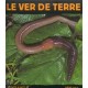 Le Ver De Terre - Tracqui , Baranger