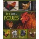 Lexiguide Des Poules - Collectif