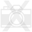 Musiques Caraibes : La Trace Noire (edition 1998) - Collectif