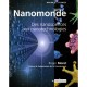 Nanomonde , Des Nanosciences Aux Nanotechnologies - Roger Moret