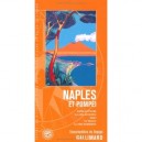 Naples Et Pompei , Ischia Et Procida, La Cote Sorrentine, Capri, Le Vesuve, La Cote Amalfitaine - Collectif