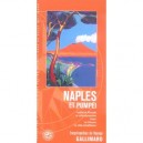 Naples Et Pompei , Naples, Les Champs Phlegreens, Ischia Et Proci - Collectif