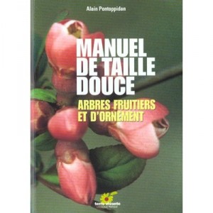 Manuel De Taille Douce - Pontopidoan