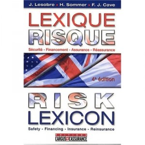 Lexique Risques Et Assurances Francais/anglais/americain , Securite, Financement, Assurance, Reassurance - Caviglioni ,lesobre 