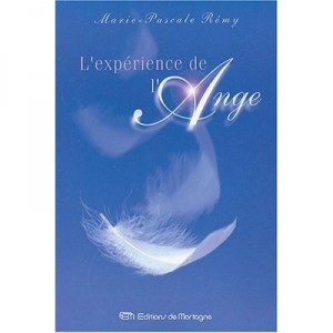 L'experience De L'ange - Marie-pascale Remy