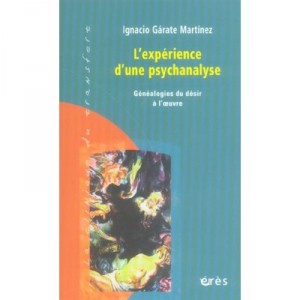 L'experience D'une Psychanalyse , Genealogies Du Desir A L'oeuvre - Ignacio Garate-martinez