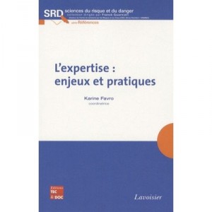 L'expertise : Enjeux Et Pratiques - Karine Favro