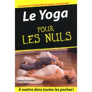 Le Yoga Pour Les Nuls - Georg Feuerstein , Larry Pane