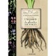 L'herbier Des Plantes Sauvages - Collectif