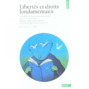 Libertes Et Droits Fondamentaux , 2e Edition - Claude Lucas De Leyssac , Mireille Delmas-marty