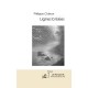 Lignes Brisees - Philippe Cheron
