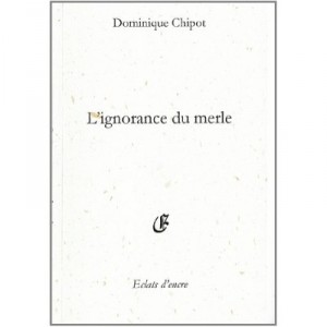 L'ignorance Du Merle - Dominique Chipot