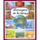 L'imagerie De La Terre - Collectif