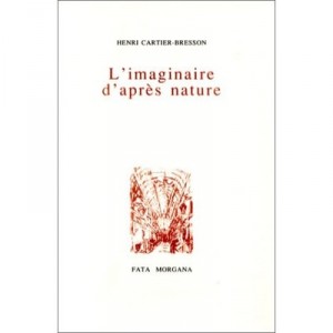 The imaginary after nature - Collectif