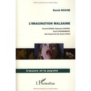 L'imagination Malsaine - Denis Roche
