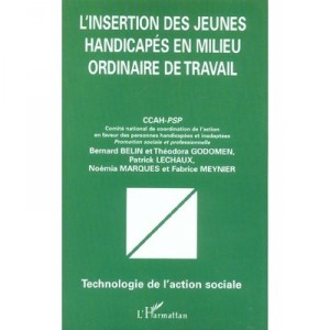 L'insertion Des Jeunes Handicapes En Milieu Ordinaire De Travail - Collectif