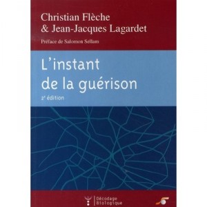 L'instant De La Guerison (2e Edition) - Christian Fleche , Jean-jacques Lagardet