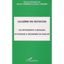 L'algerie En Mutation , Les Instruments Juridiques De Passage A L'economie De Marche - Robert Charvin , Ammar Guesmi