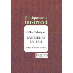 Banlieues En Feu - Falavigna