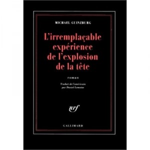 L'irremplacable Experience De L'explosion De La Tete - Michael Guinzburg